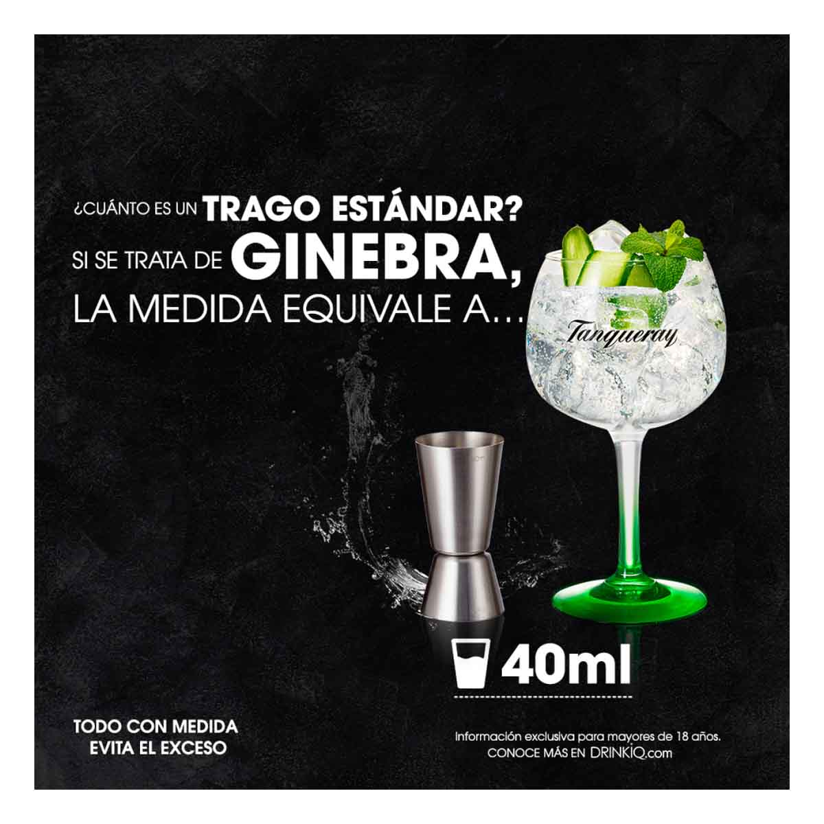 Ginebra Tanqueray Rangpur Lime Citrica 750 ml
