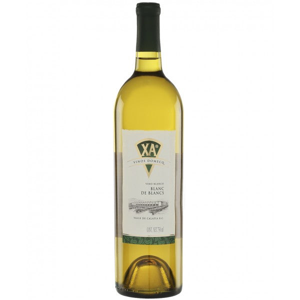 Vino Blanco Domecq Blanc De Blancs 750 ml-Vinexa